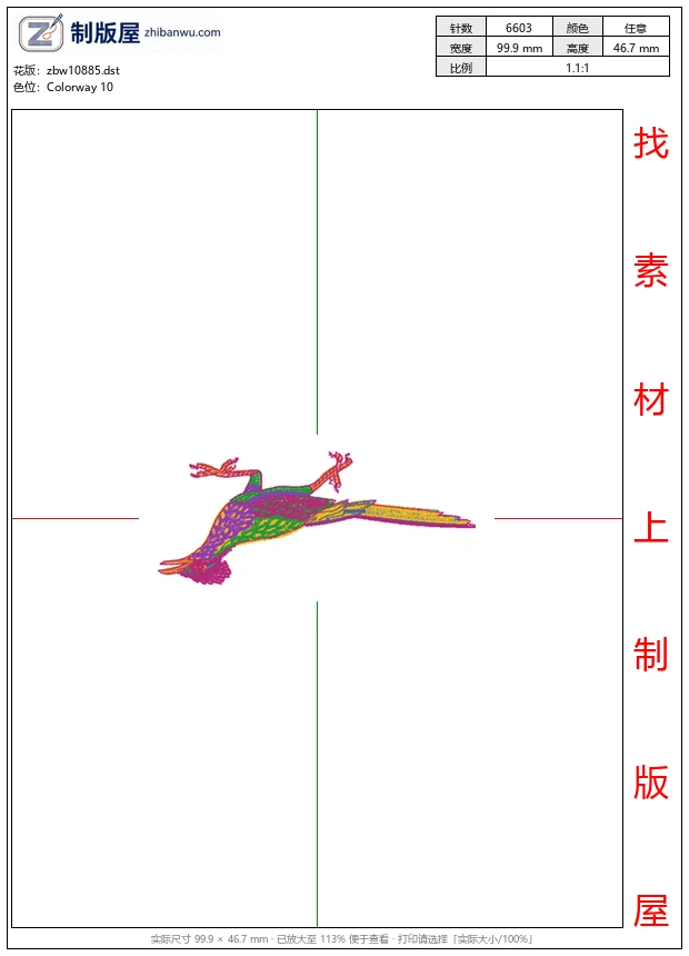 zbw10885_鸟