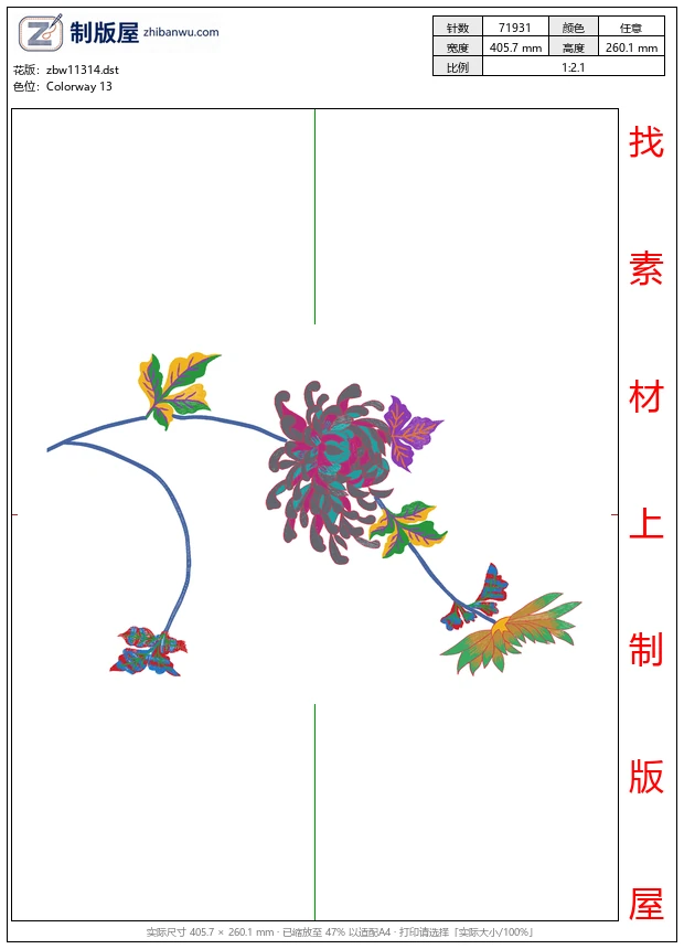 zbw11314_美丽花卉菊花