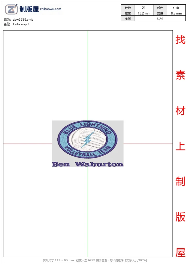 zbw5598_蓝闪电排球队徽章_免费花样