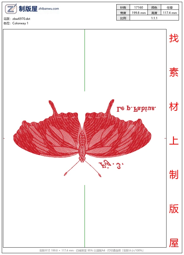 zbw6970_蝴蝶 zbw6970_蝴蝶