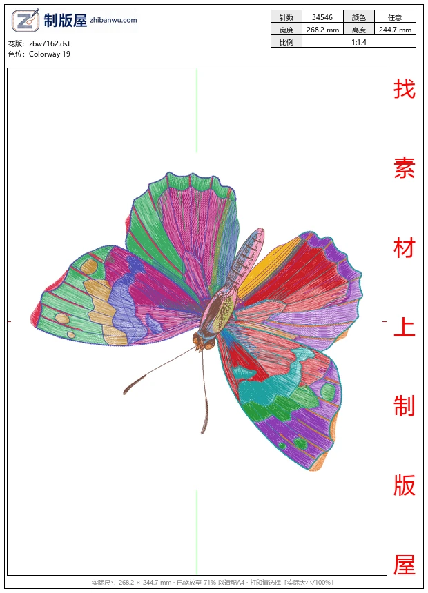 zbw7162_蝴蝶