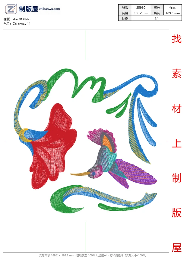 zbw7830_鸟