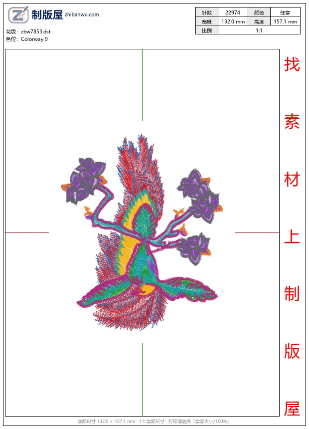 zbw7853_鸟