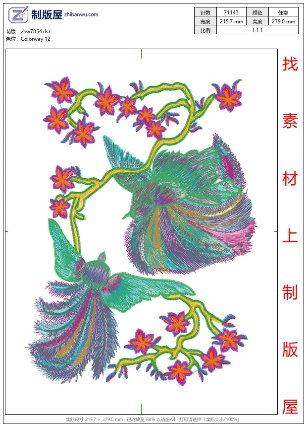 zbw7854_鸟