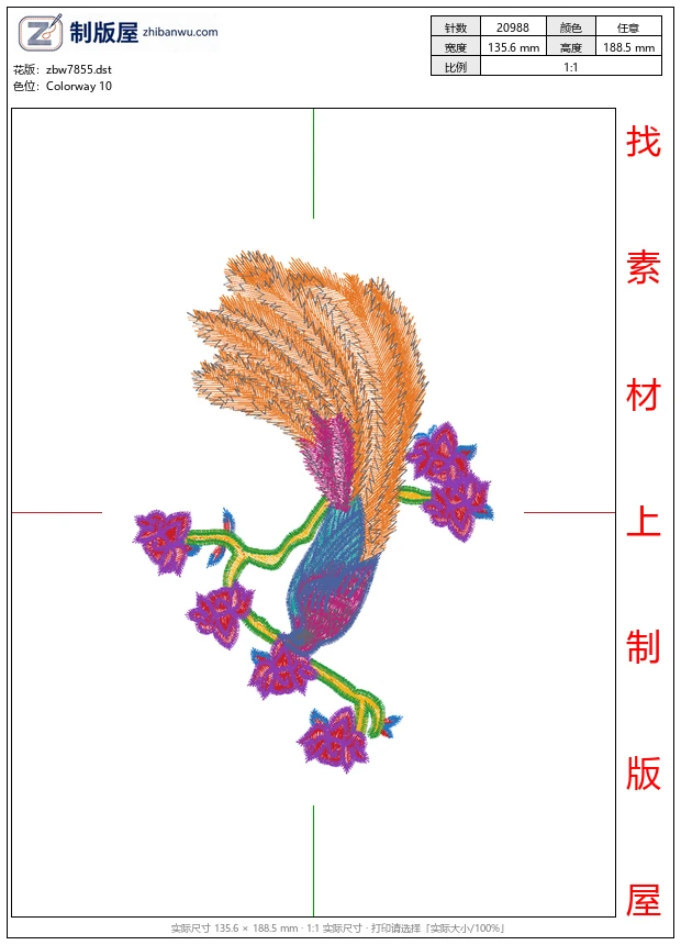 zbw7855_孔雀