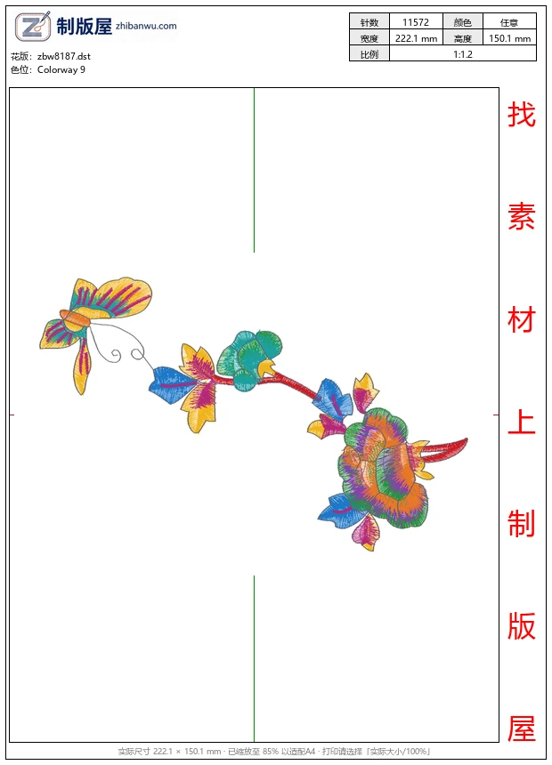 zbw8187_美丽花卉