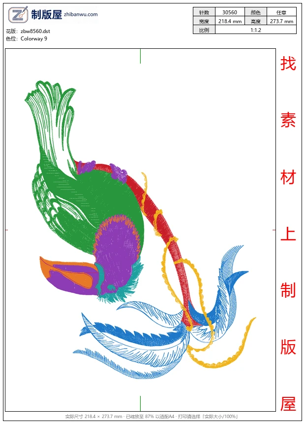 zbw8560_鹦鹉鸟