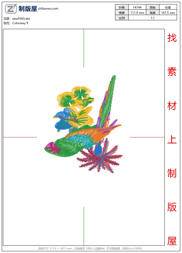 zbw9365_鸟