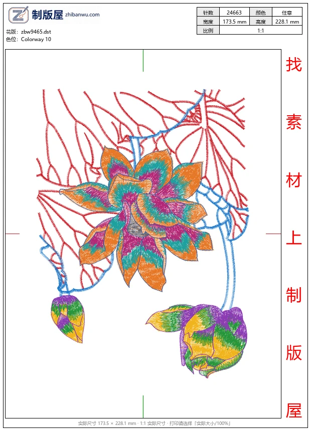 zbw9465_莲花