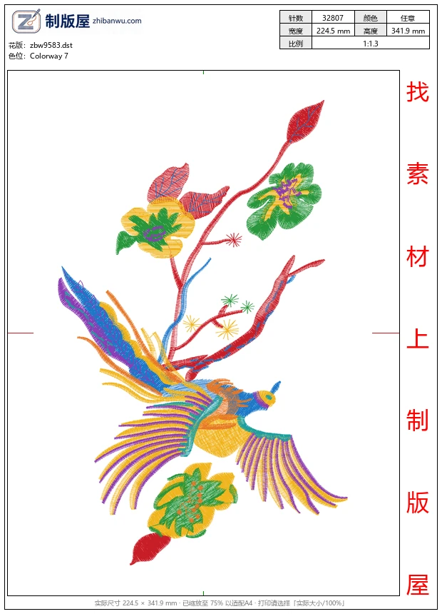 zbw9583_鸟