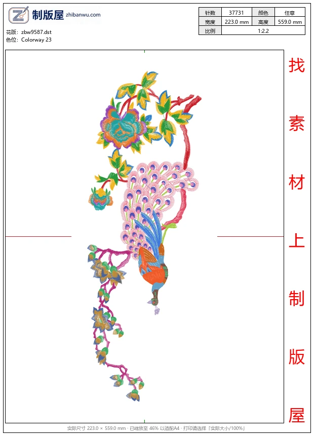 zbw9587_孔雀