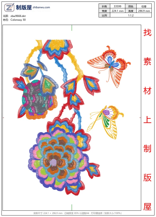 zbw9666_美丽花卉