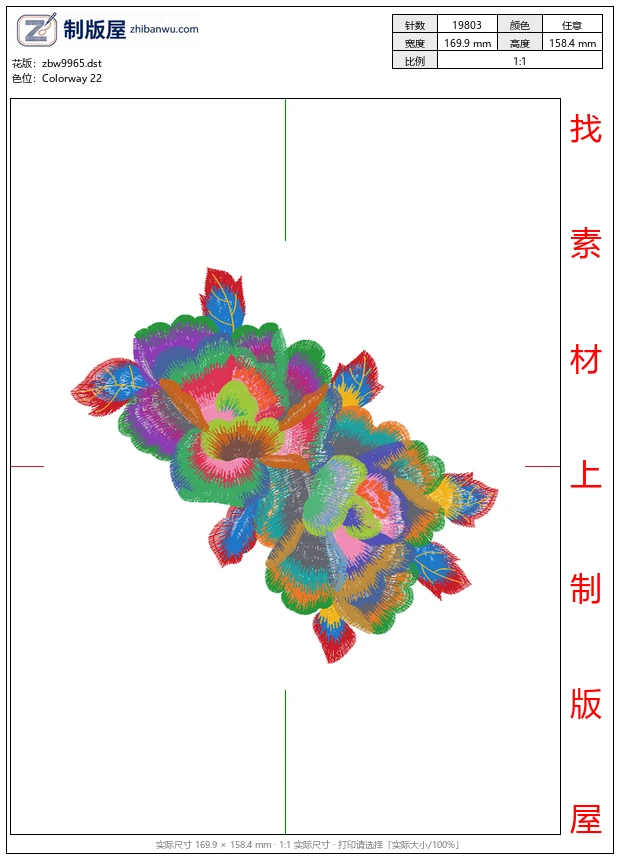 zbw9965_美丽花卉