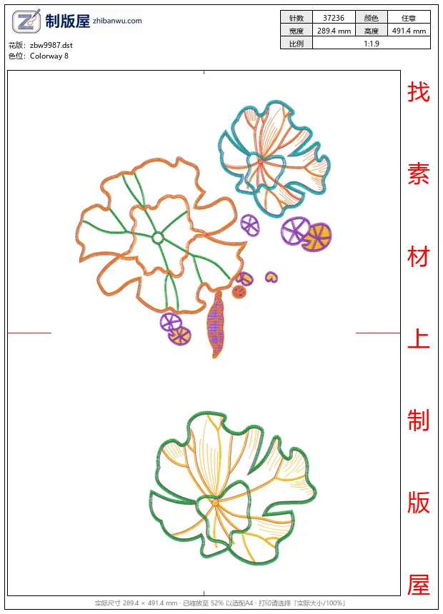 zbw9987_美丽花卉