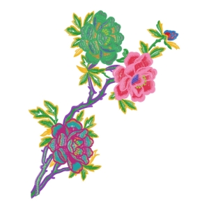 美丽花卉