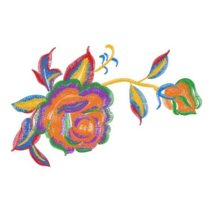 美丽花卉