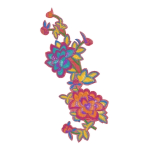 美丽花卉
