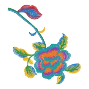 美丽花卉