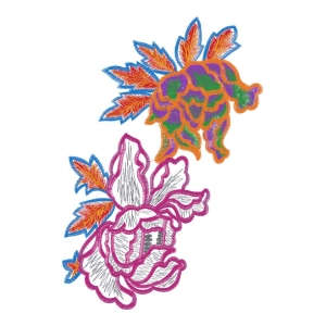 美丽花卉
