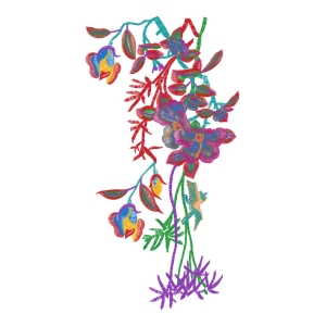 美丽花卉