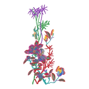 美丽花卉