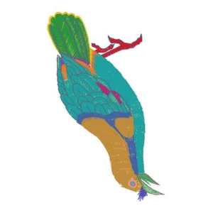 鸟