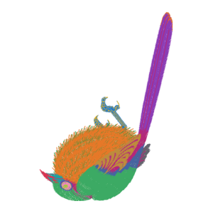 鸟