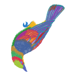 鸟
