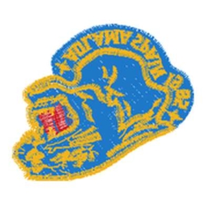 豹