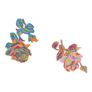 美丽花卉