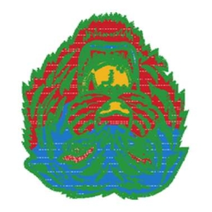 虎头图案