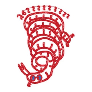 蛇