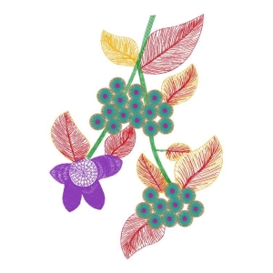 美丽花卉