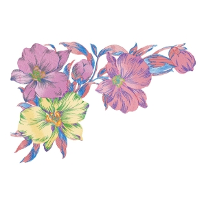 美丽花卉