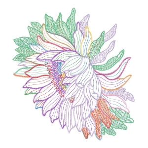美丽花卉