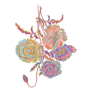 美丽花卉