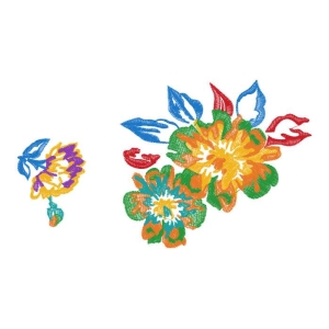 美丽花卉