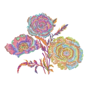 美丽花卉