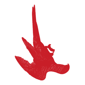 鹰