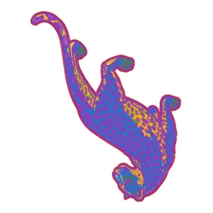 豹