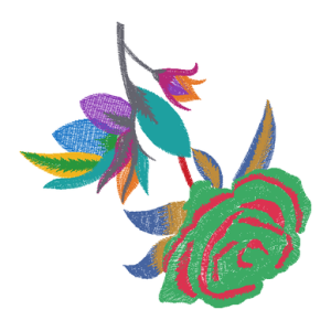 美丽花卉