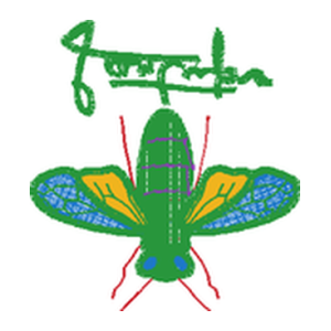 蜜蜂