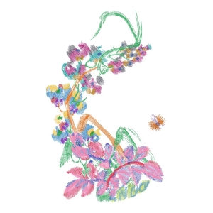 美丽花卉