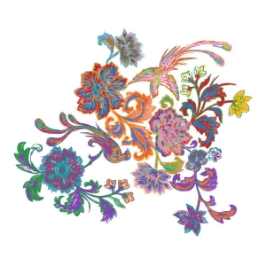凤凰美丽花卉