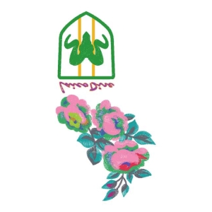 美丽花卉