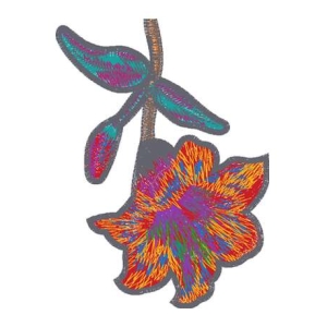 美丽花卉