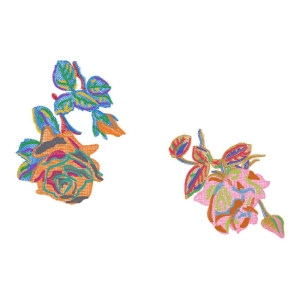 美丽花卉
