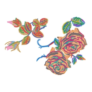 美丽花卉