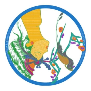 美丽鸟
