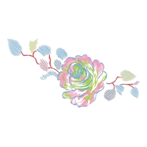 美丽花卉
